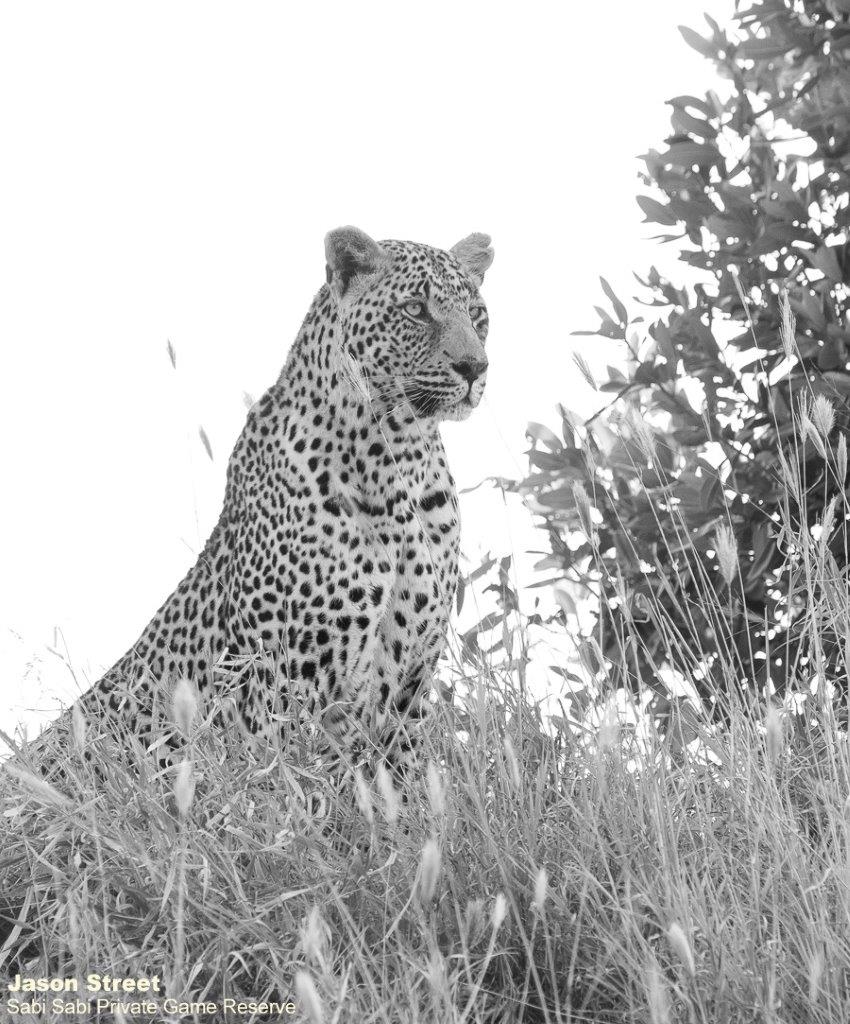 A20Jason Street Nweti 040822. Final