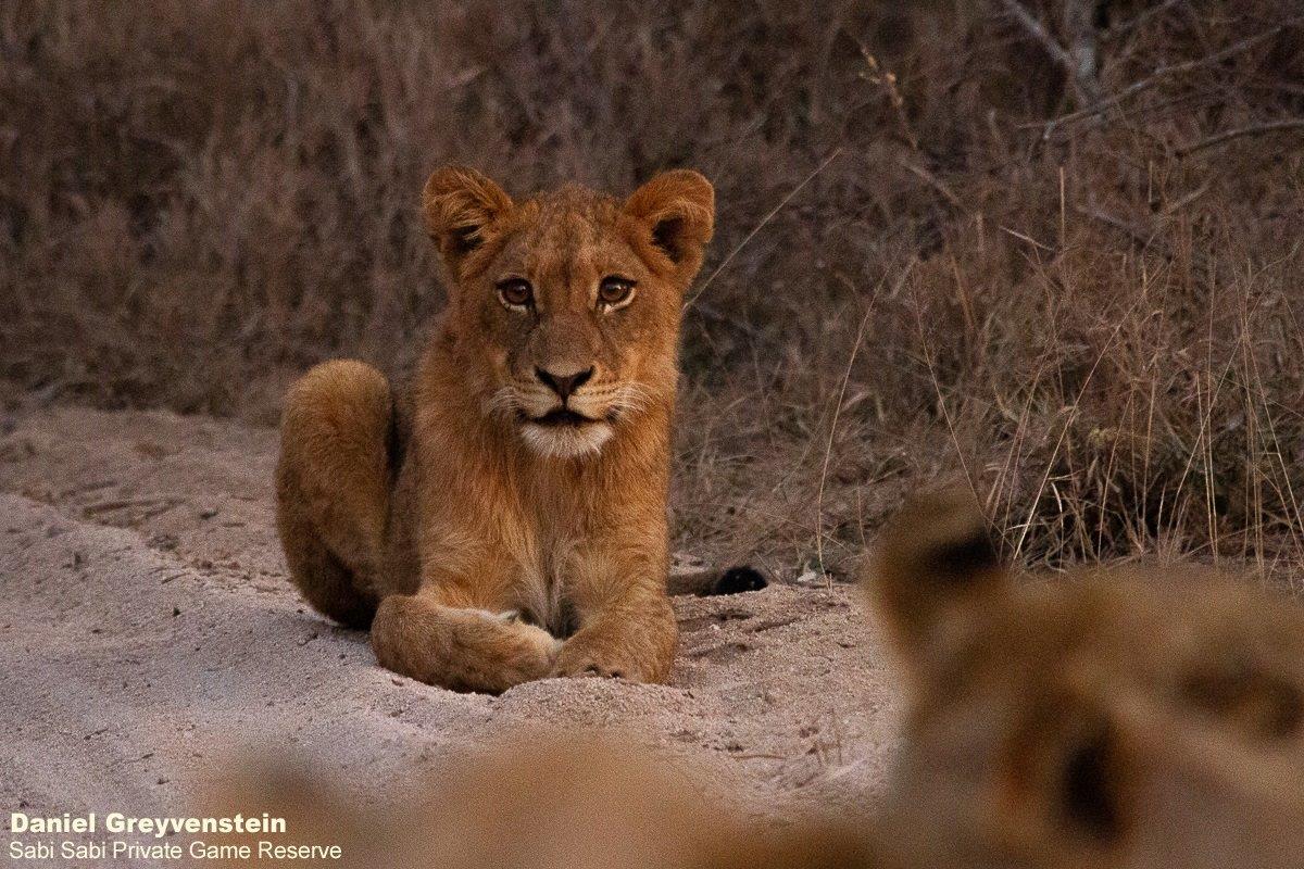 A04Daniel Greyvenstein Styx Pride 050922 2 Final