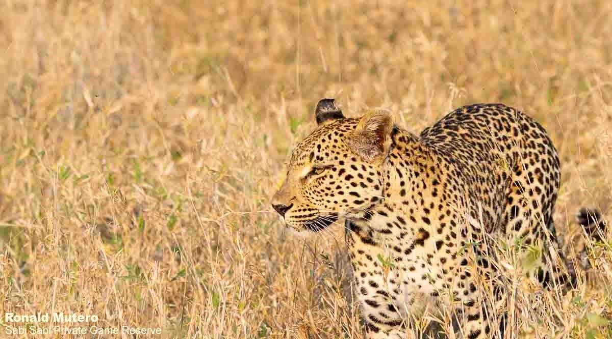 A06ronald Mutero Ntsumi 09092022  Final