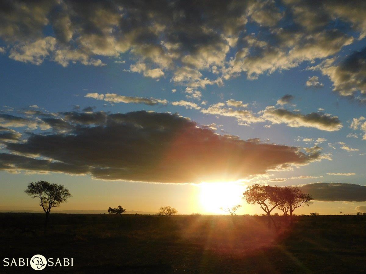 B01Landscape 8 Final B01Landscape 8 Final