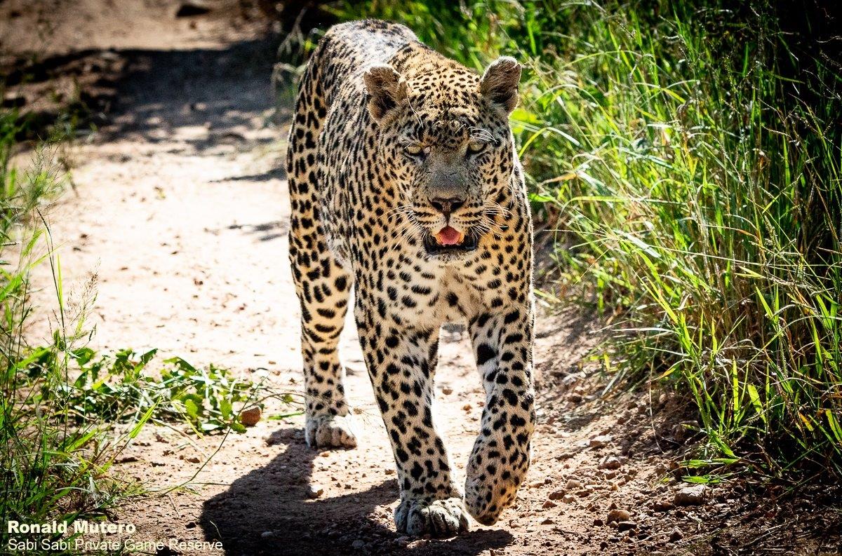 B06ronald Mutero Dayone Dewane 04032021 4 Final B06ronald Mutero Dayone Dewane 04032021 4 Final