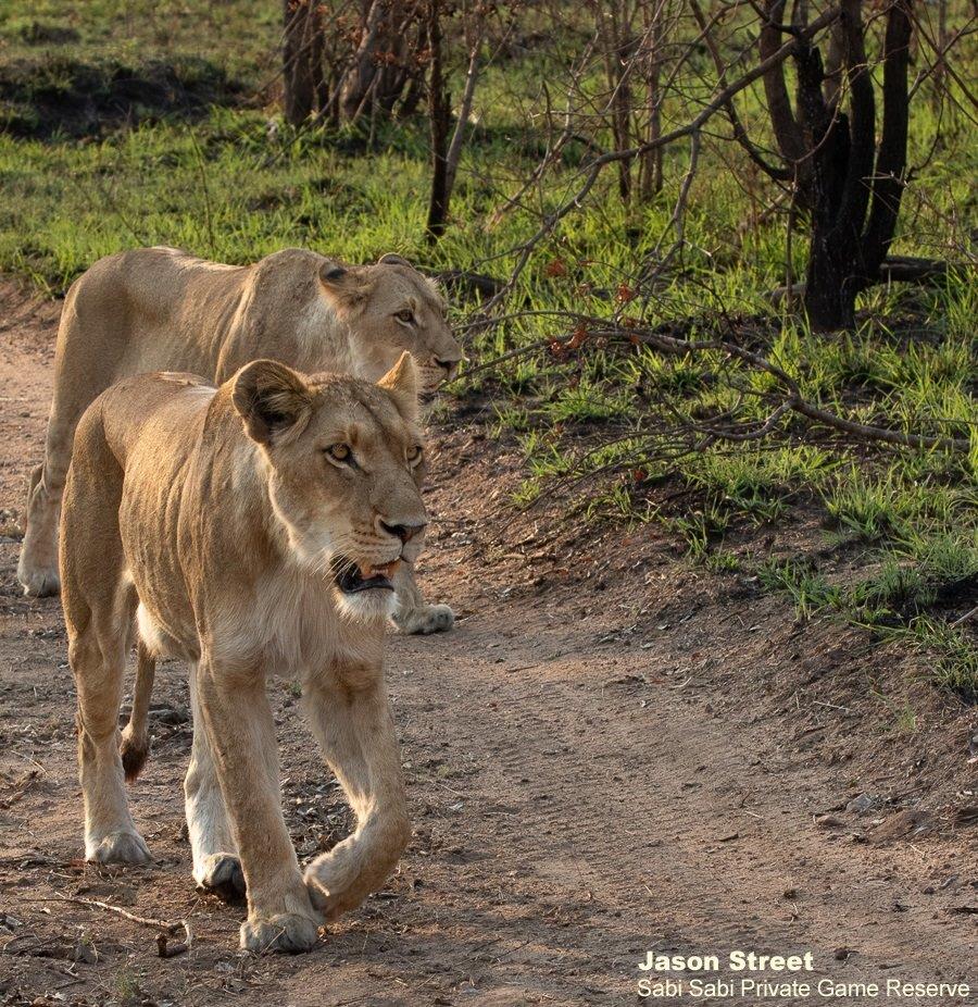 A22Jason Street Southern Pride 111022. Final