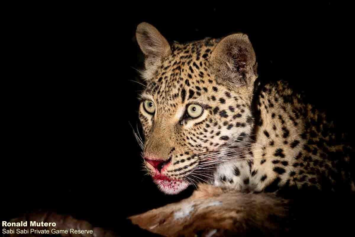 B06ronald Mutero Golonyi 29092022 5 Final