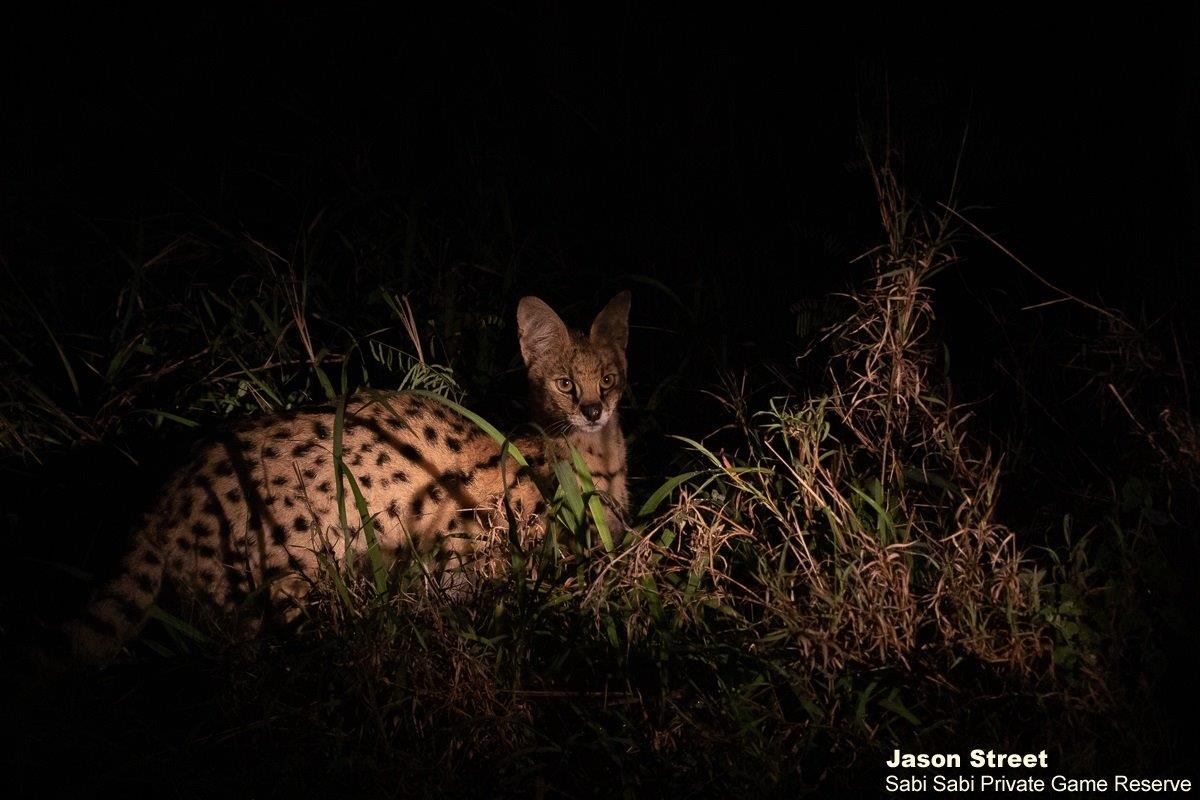 A31Jason Street Serval 261122 1. Final A31Jason Street Serval 261122 1. Final