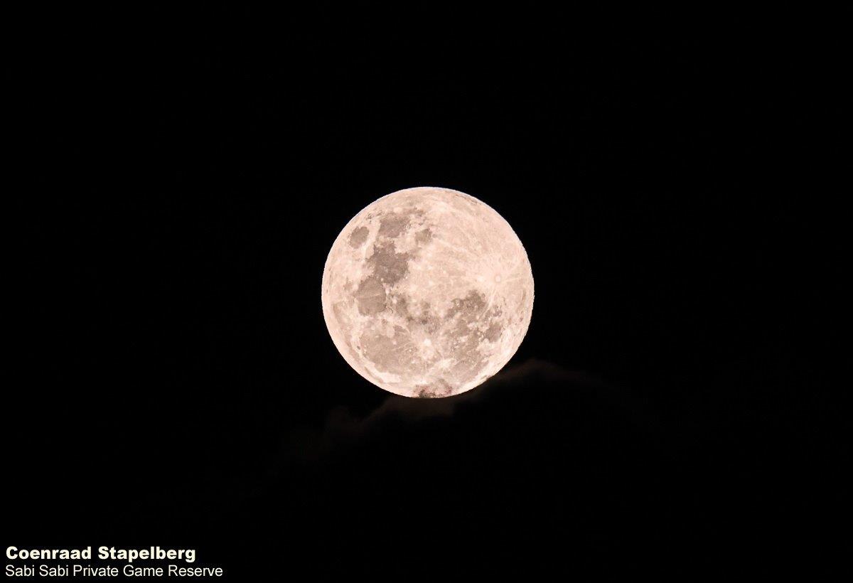 A18Coenraad Stapelberg Moon 071222 1 Final A18Coenraad Stapelberg Moon 071222 1 Final