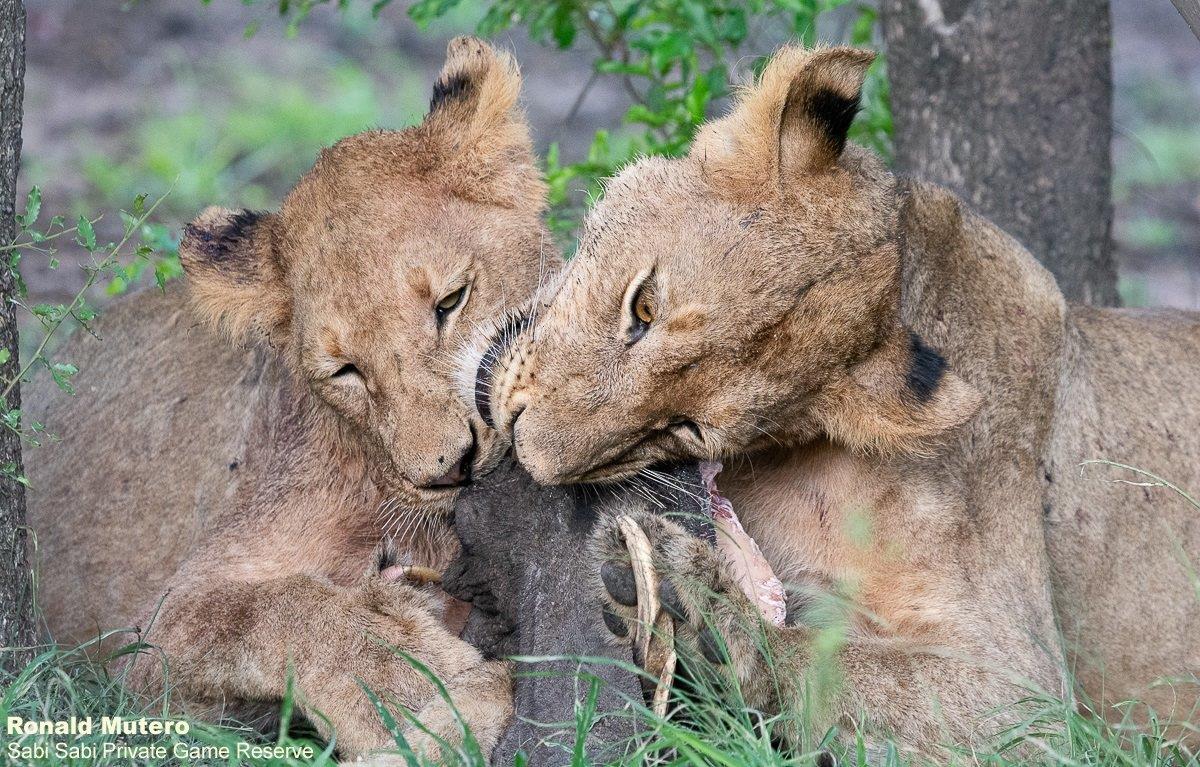 A33ronald Mutero Styx 29112022  6 Final