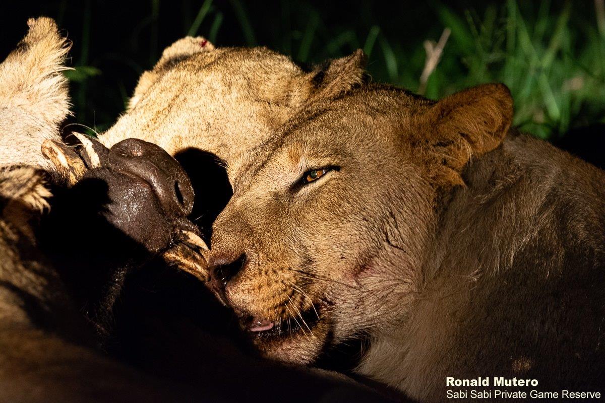 05ronald Mutero Styx 02012023  3 Final