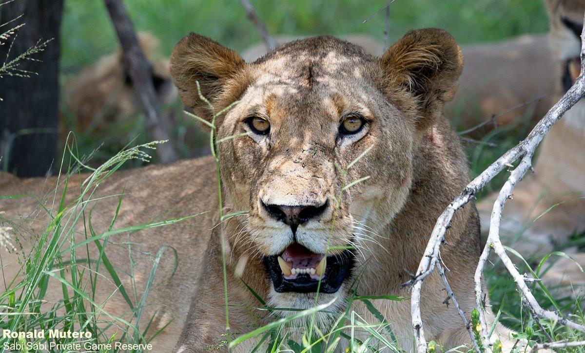 A09ronald Mutero Kambulai 13012023  Final