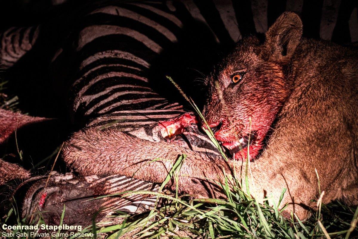 B06Coenraad Stapelberg Styx 130123 4 Final