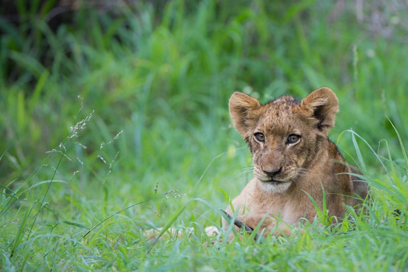 10Dec2013 Southern Pride