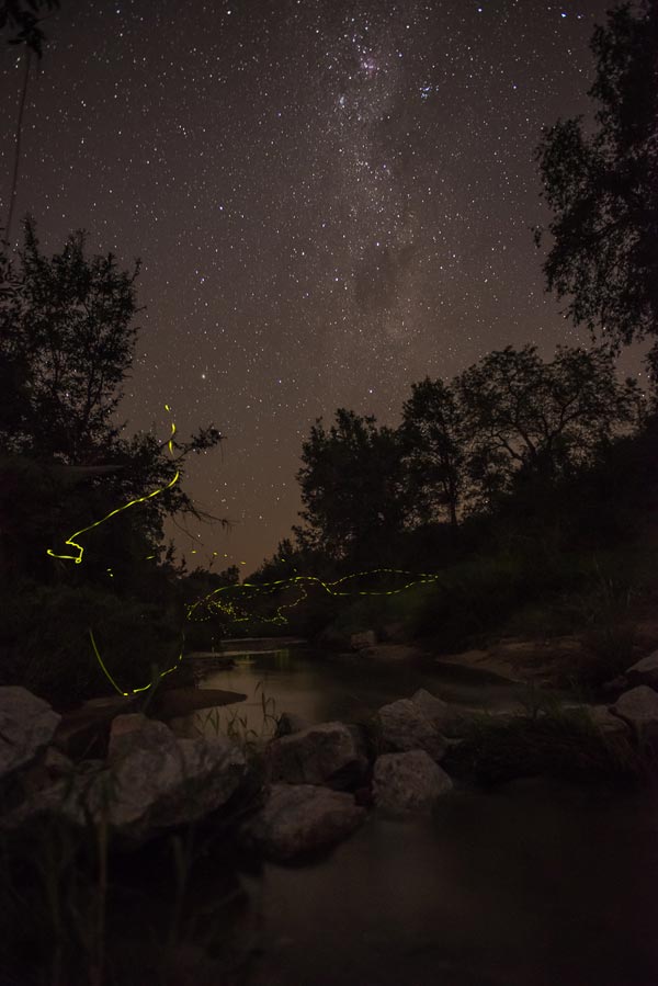 12May2014 Fireflies And Water 2 12May2014 Fireflies And Water 2
