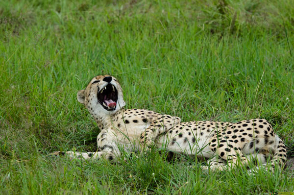 Friday Funny 2 Friday Funny 2