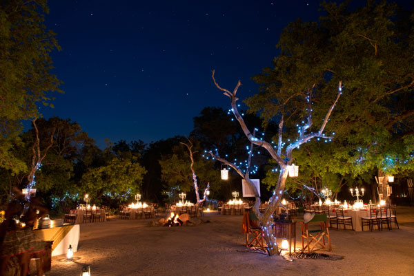 Starlight Bush Dinner 3 Starlight Bush Dinner 3
