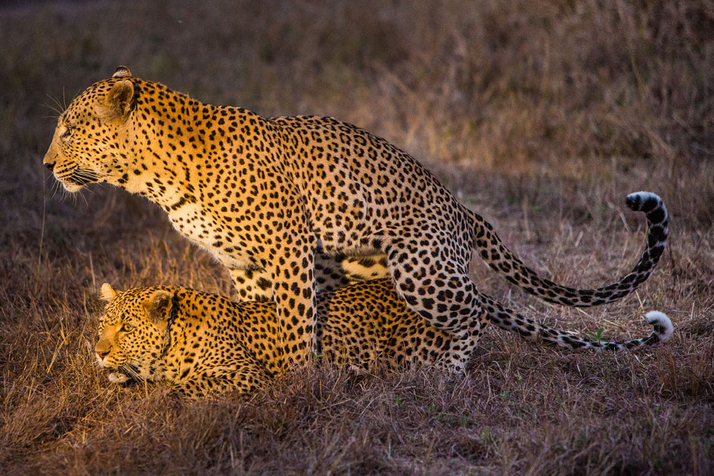 YPO 19.08 SABIBUSH JOHN.173