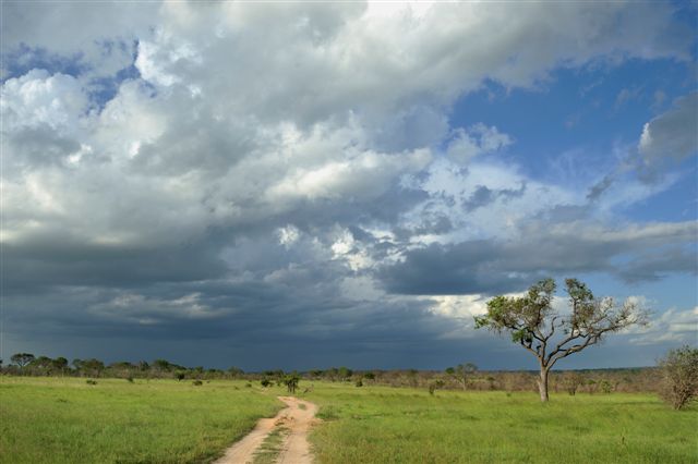 African Summer Sky African Summer Sky