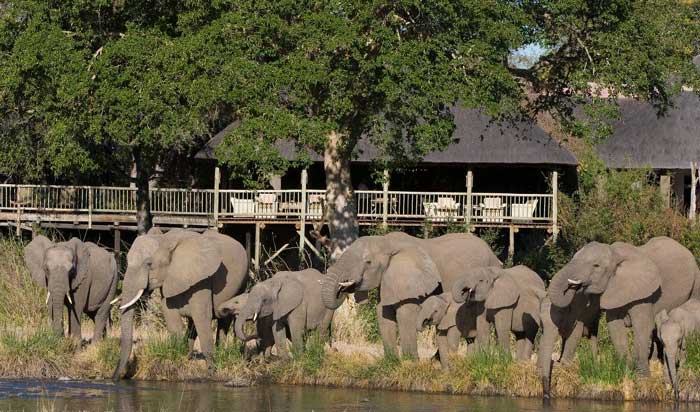 Big Ele Bush Lodge Big Ele Bush Lodge