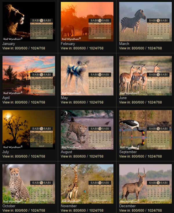 Calendar Newsletter Calendar Newsletter
