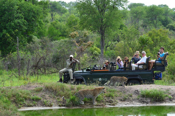 Jaap With Nottins Jaap With Nottins