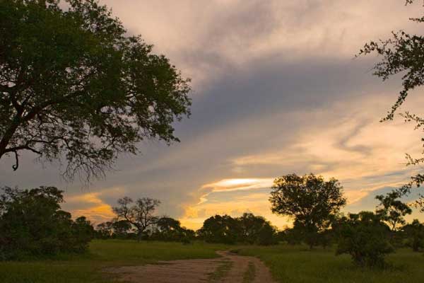 Sabi Diversity Sabi Diversity