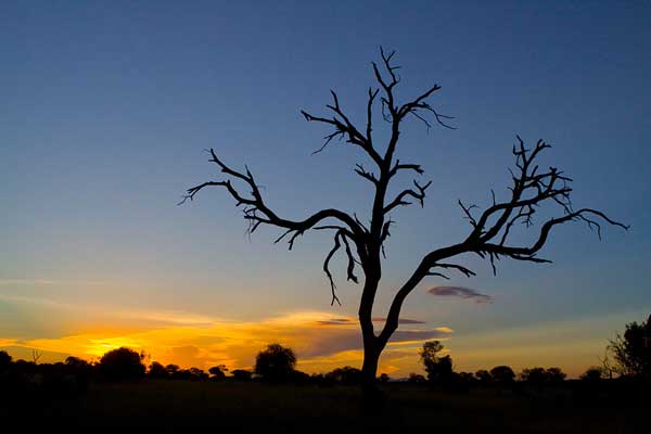 Sabi Sabi Sunset Sabi Sabi Sunset