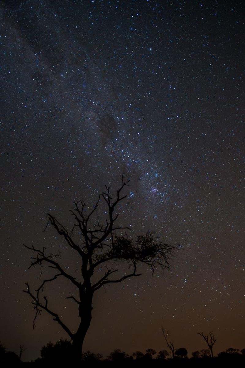 Terry Ennever Milky Way Terry Ennever Milky Way