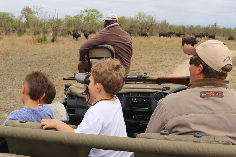 safari for the children at Sabi Sabi Private Game Reserve
