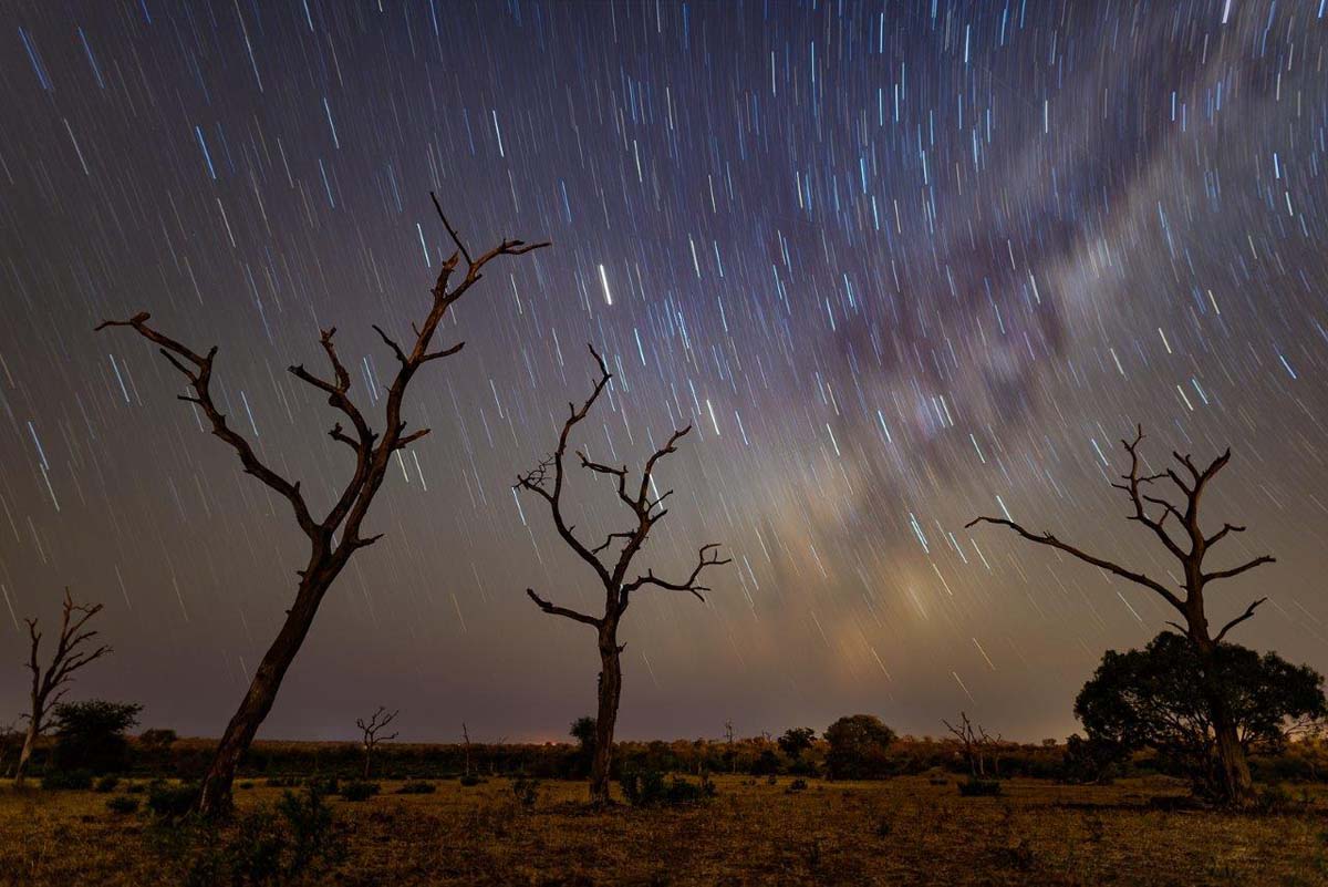 04 12July16 Mike Palmer Stars 030616 2 04 12July16 Mike Palmer Stars 030616 2