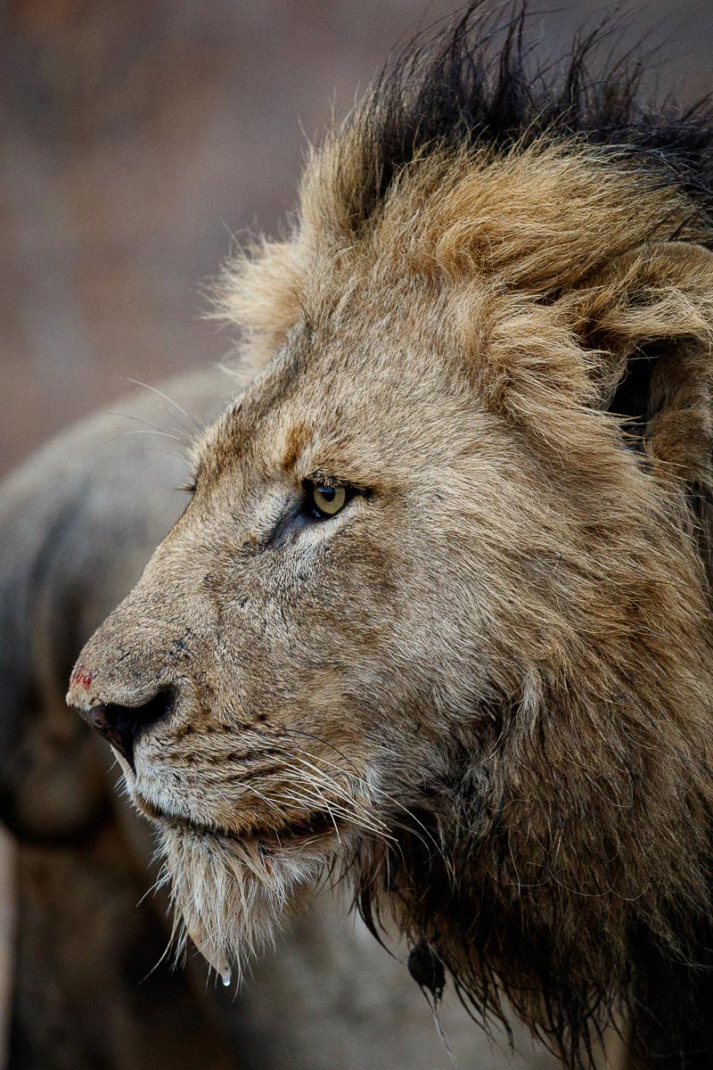 01 08Nov16 Mike Palmer High ISO 260916 1