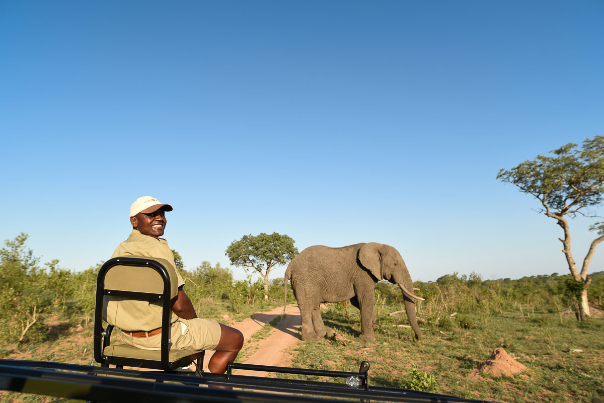 Safari Images 11 1200px Safari Images 11 1200px