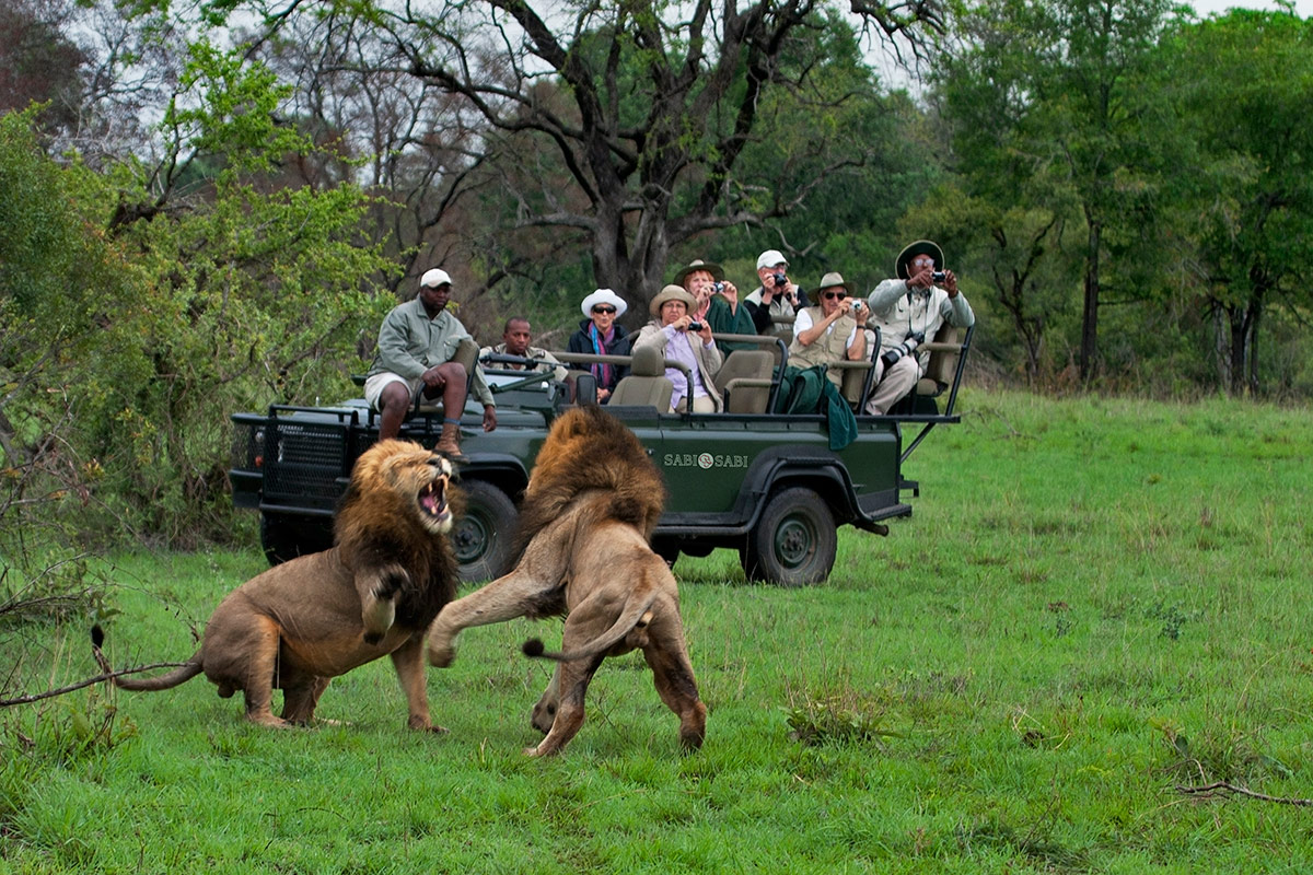 SAFARI ETIQUETTE - Sabi Sabi Private Game Reserve