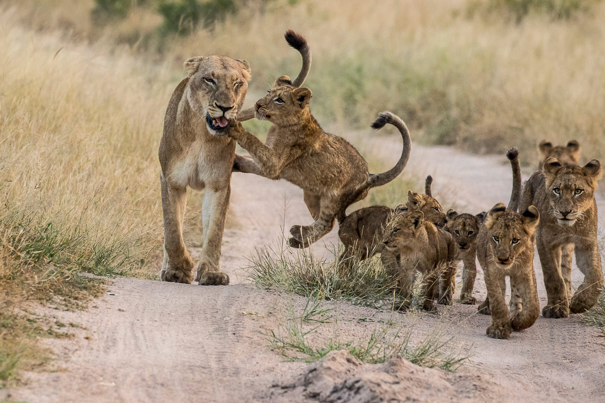 Kyle 28 April Mandleve Sunrise 4 1200px