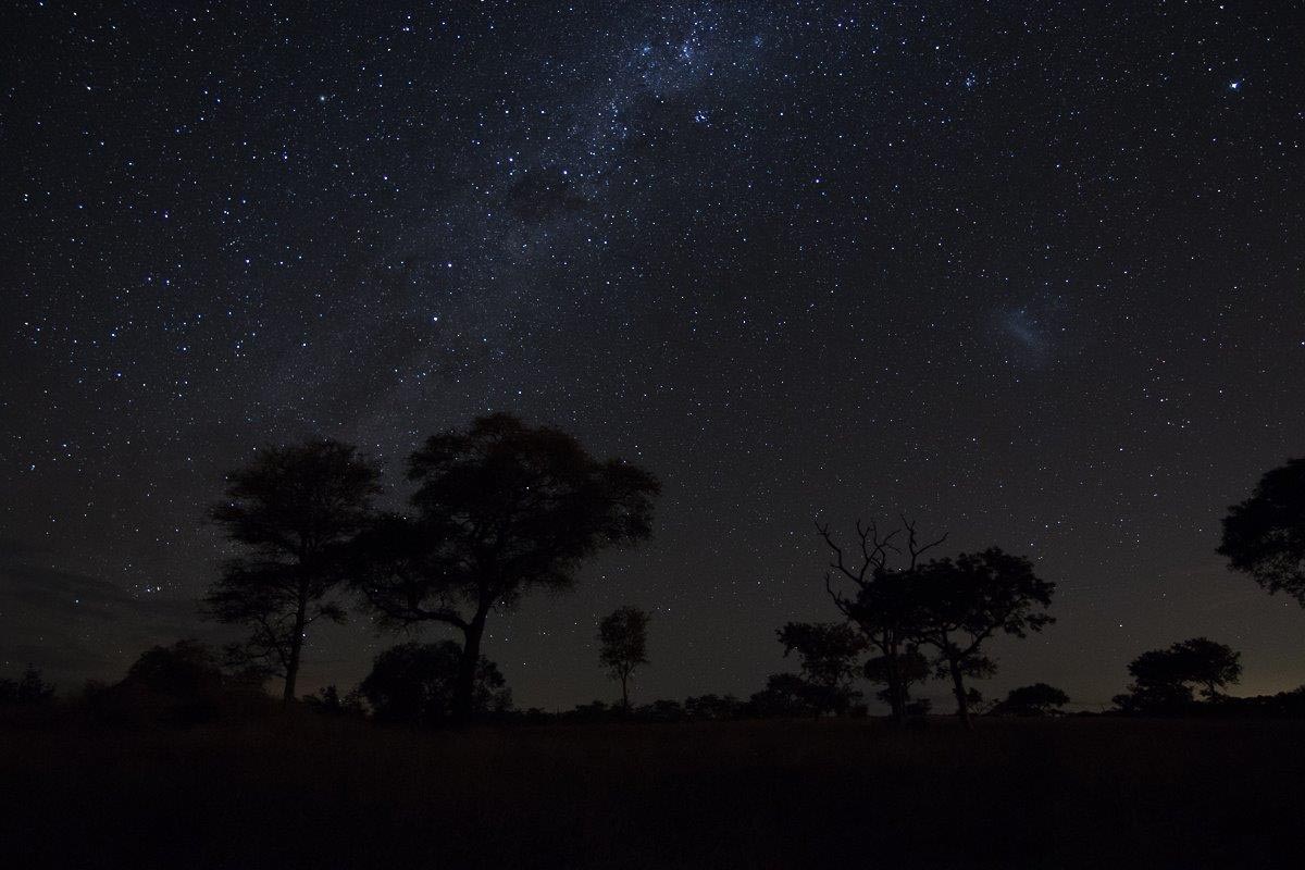 02Sheldon Hooper Star Stitch