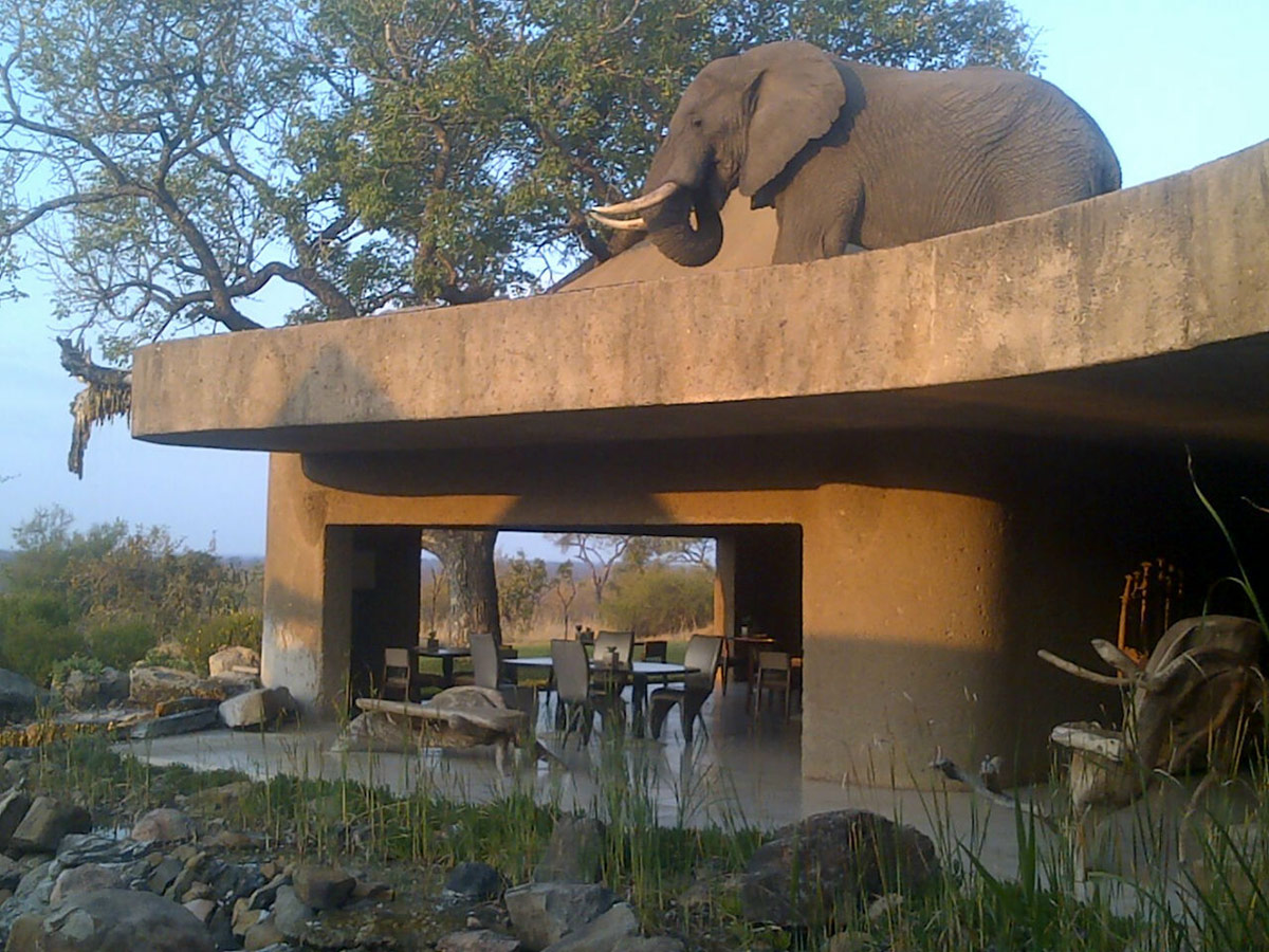 Ellie On Earth Lodge Roof 1200px Ellie On Earth Lodge Roof 1200px