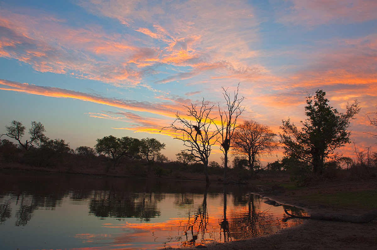 Sabi Sabi Landscapes 1200px Sabi Sabi Landscapes 1200px