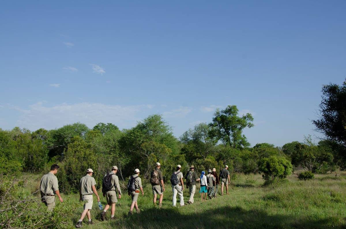 Safari 5 1200px 444 Safari 5 1200px 444
