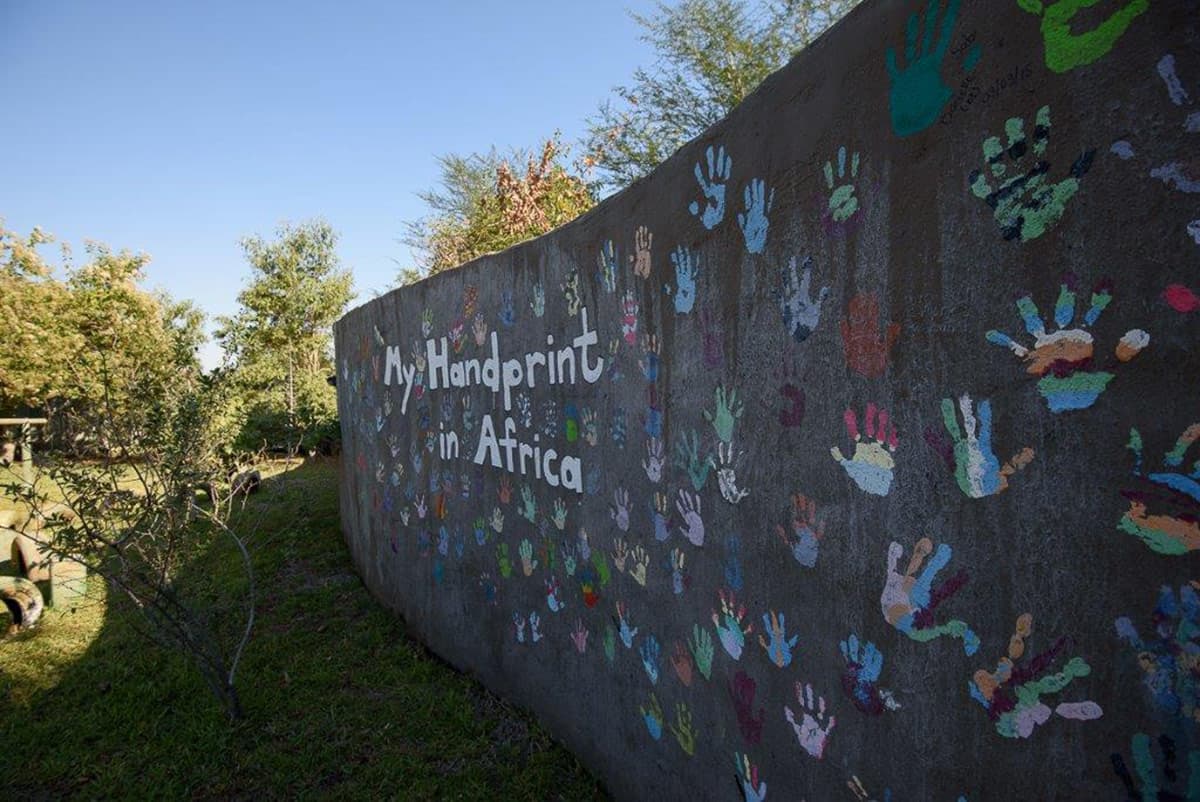 Mike Palmer Elefun Pics 1200px 333 Mike Palmer Elefun Pics 1200px 333