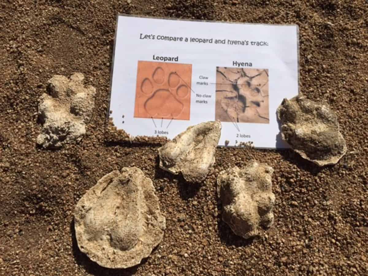 Tracks 1200px 333 Tracks 1200px 333