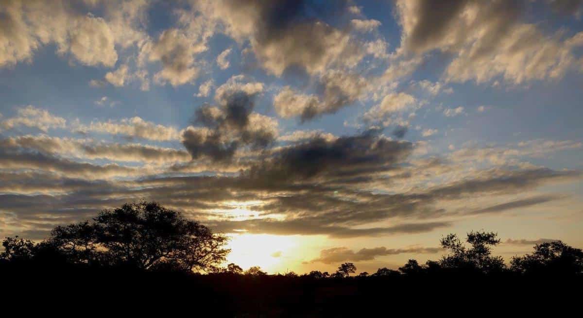 Louise Murray Sunset Cropped Louise Murray Sunset Cropped