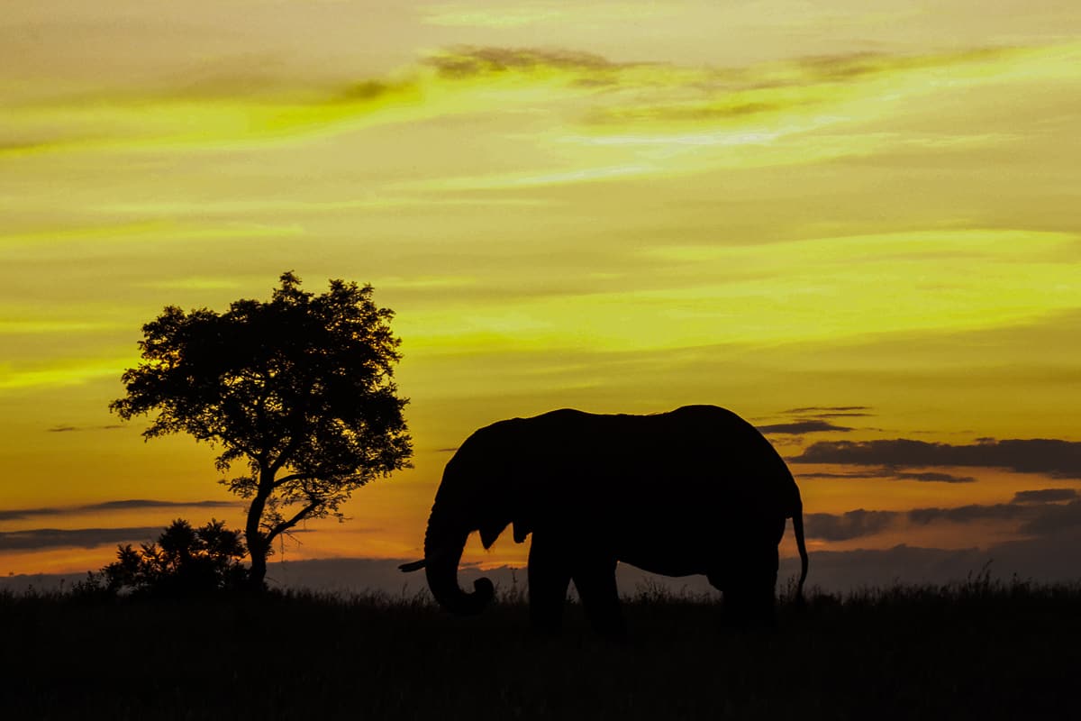 A Time For Every Season 1 21052020 1200px