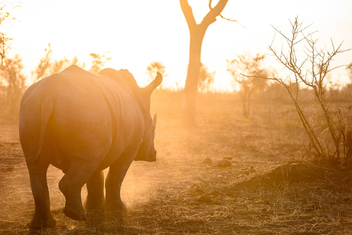 A Time For Every Season 6 21052020 1200px