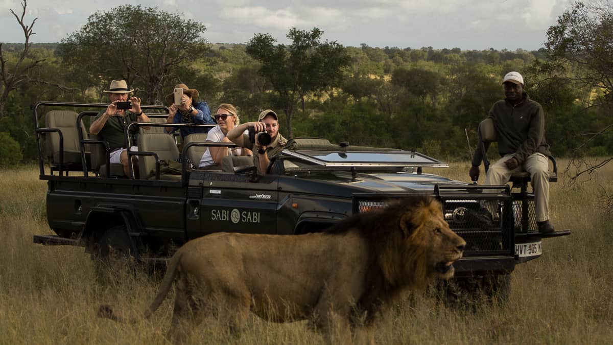 OnSafari 5 OnSafari 5