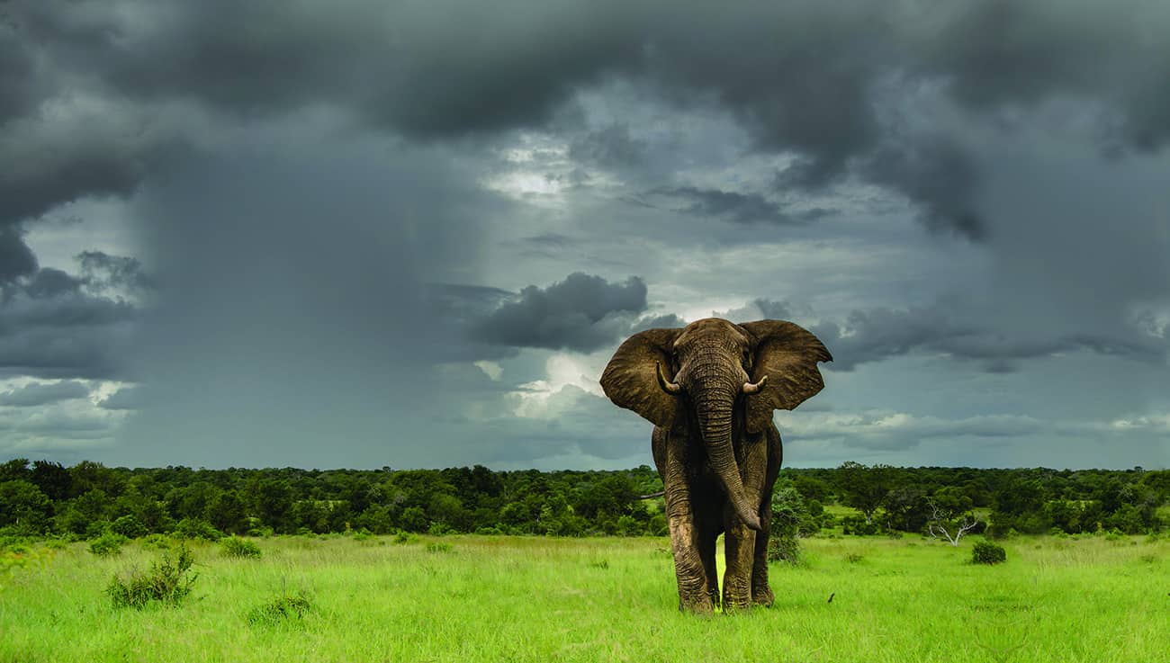 Coversmall Coversmall