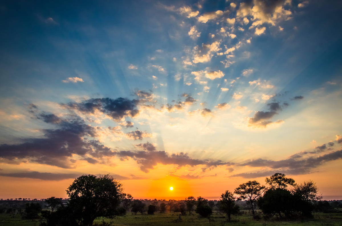 Landscapes 107 Landscapes 107