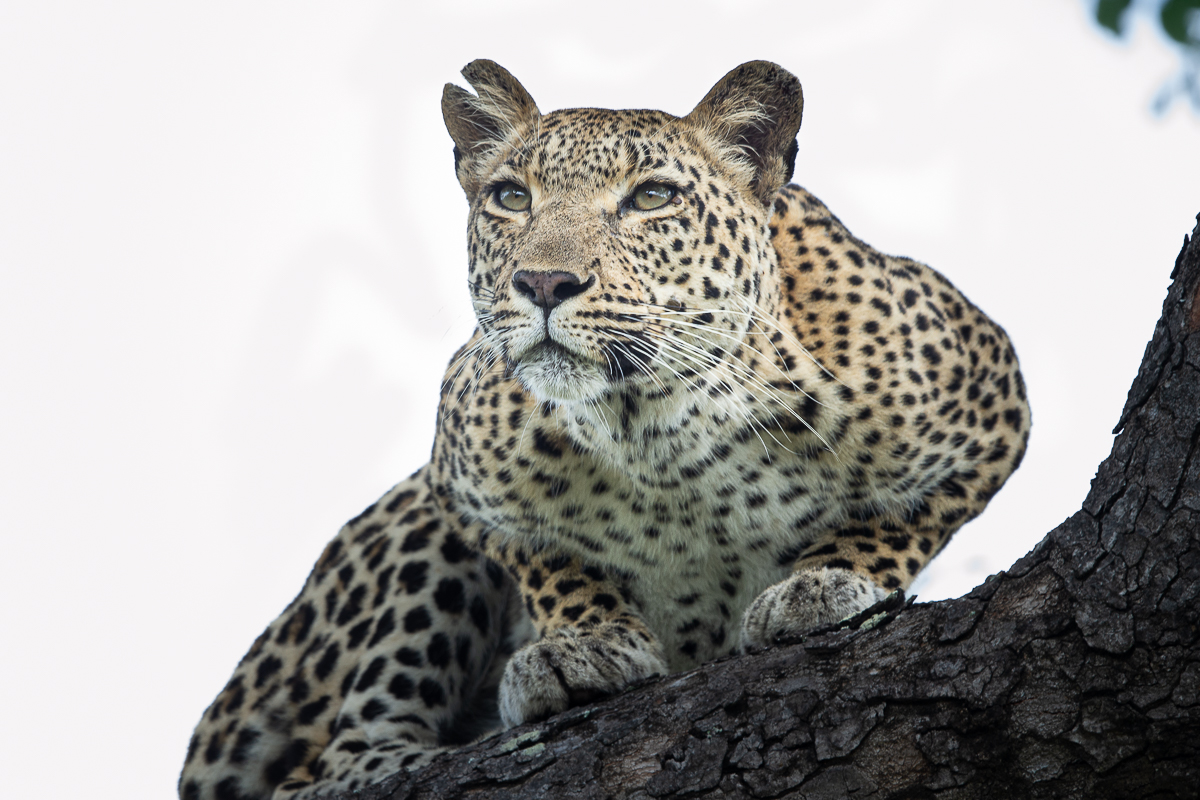 Ronald Mutero Keegelia 14022022 2