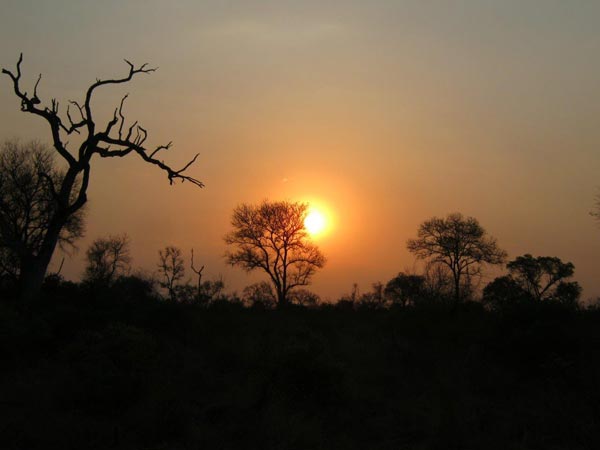 11Feb2014   Kirsty Strachan   Sunset