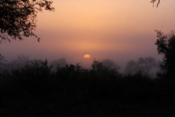 23Aug11 Sunrise On Our Last Day At Sabi Sabi 23Aug11 Sunrise On Our Last Day At Sabi Sabi