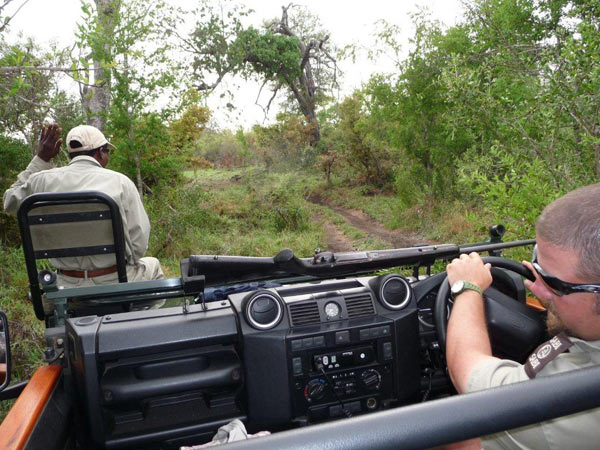 25Dec12 Safari 25Dec12 Safari