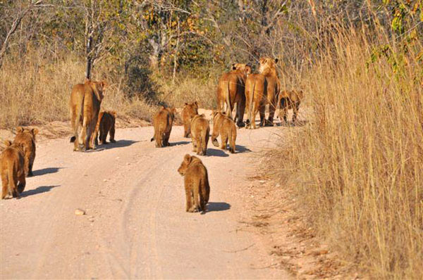 29Nov11 Southern Pride 29Nov11 Southern Pride