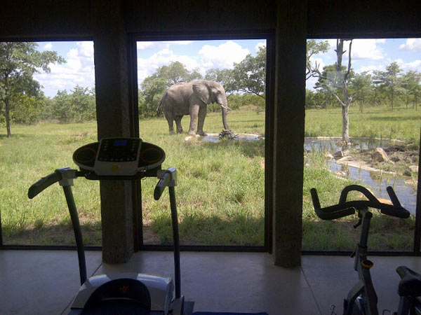 Ellie Gym Ellie Gym