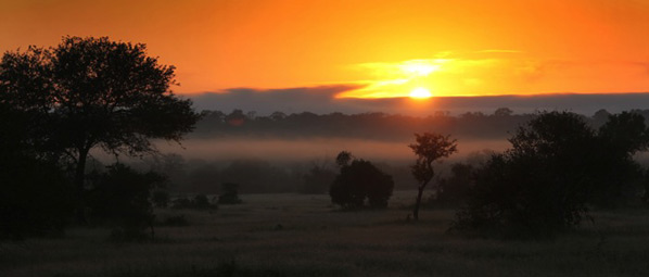 Bushveld Sunset Bushveld Sunset
